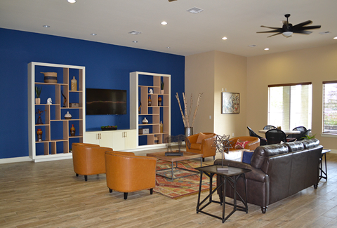 a living room with a blue accent wall and leather furniture