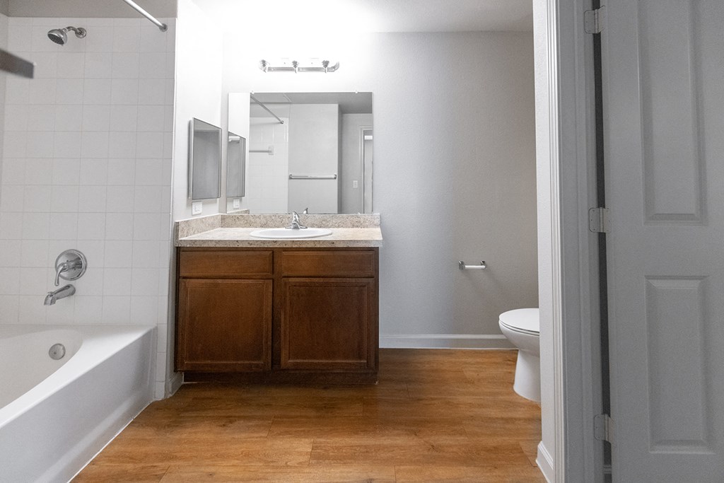 a bathroom with a sink and a toilet and a bath tub