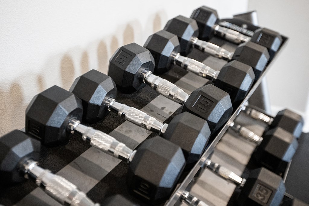 a row of weights on a rack in a gym