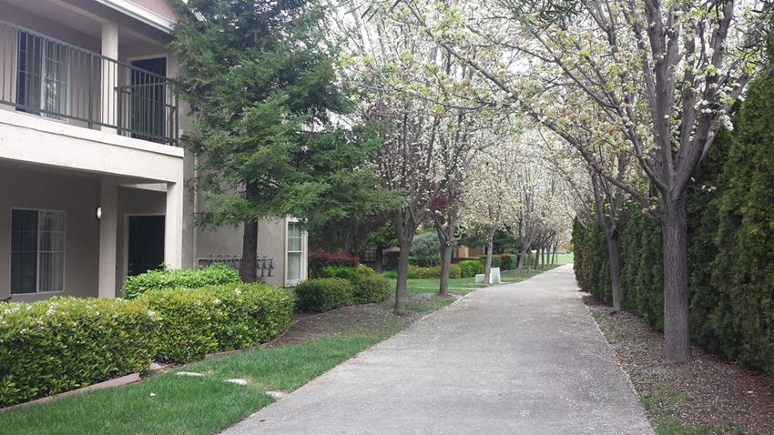 3301 Arena Blvd 1-3 Beds Apartment for Rent - Photo Gallery