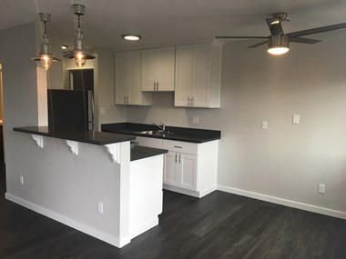 144  Hilborn St 1 Bed Apartment for Rent