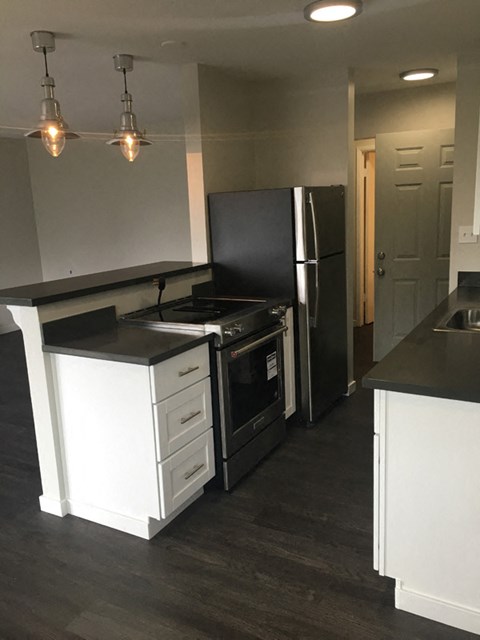 a kitchen with a stove refrigerator and a sink