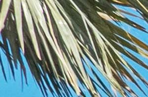 Free Fitness Classes In West Palm Beach Free Fitness Classes In West Palm Beach