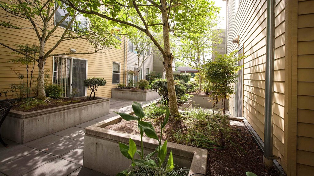 a courtyard with trees and plants next to a building