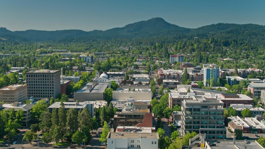 an aerial view of a city with a mountain in the background
