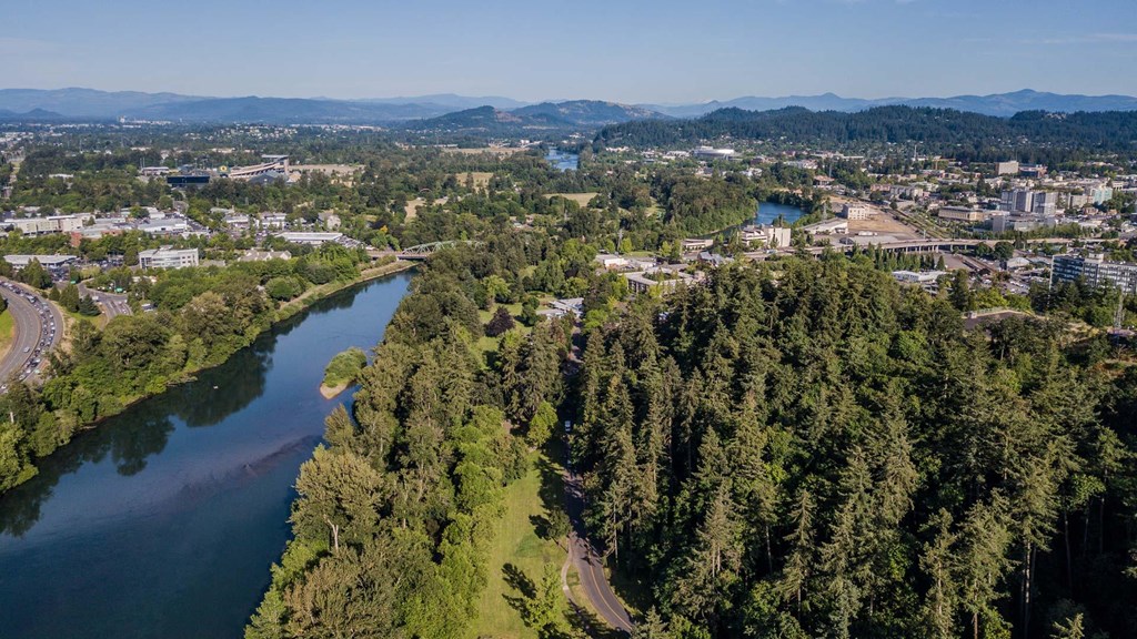 an aerial view of the river and the city
