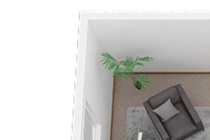 Noble Fir