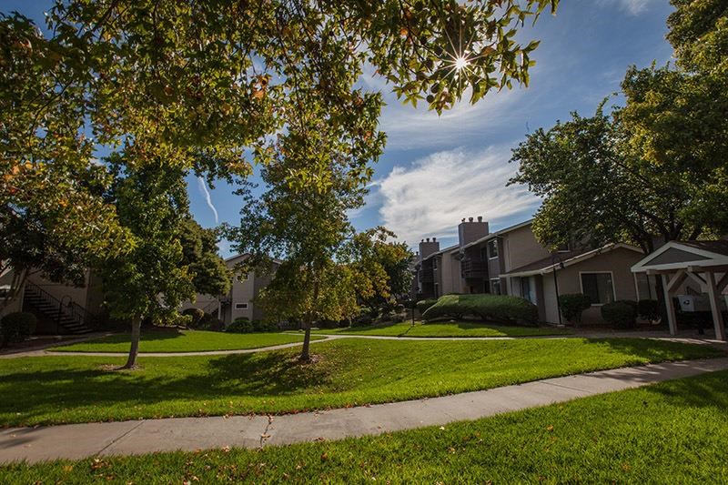a neighborhood with trees and houses on a sidewalk
