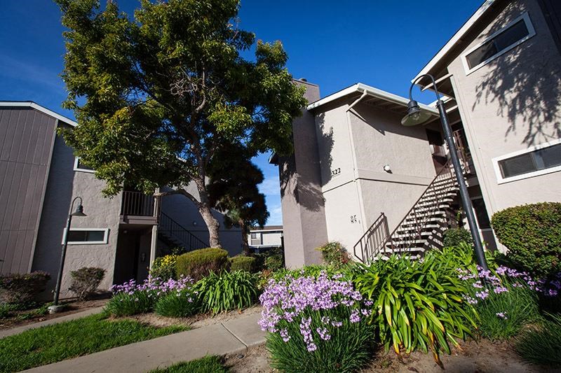 an apartment building with stairs and a yard with flowers