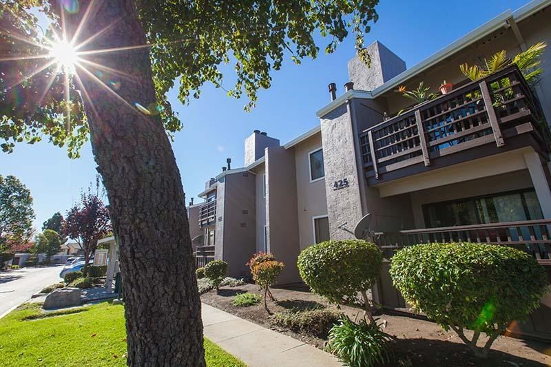 an apartment building with a tree in front of it