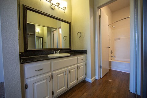 a bathroom with a sink and a mirror