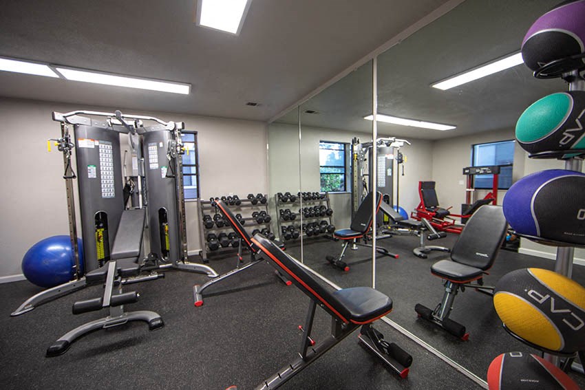 a gym with weights and other equipment in a building