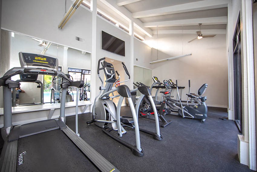 the gym is equipped with cardio equipment and state of the art treadmills
