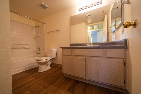 a bathroom with a toilet and a sink and a mirror