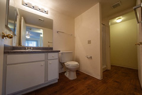 a bathroom with a toilet and a sink and a mirror