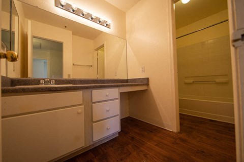 a bathroom with a sink and a mirror