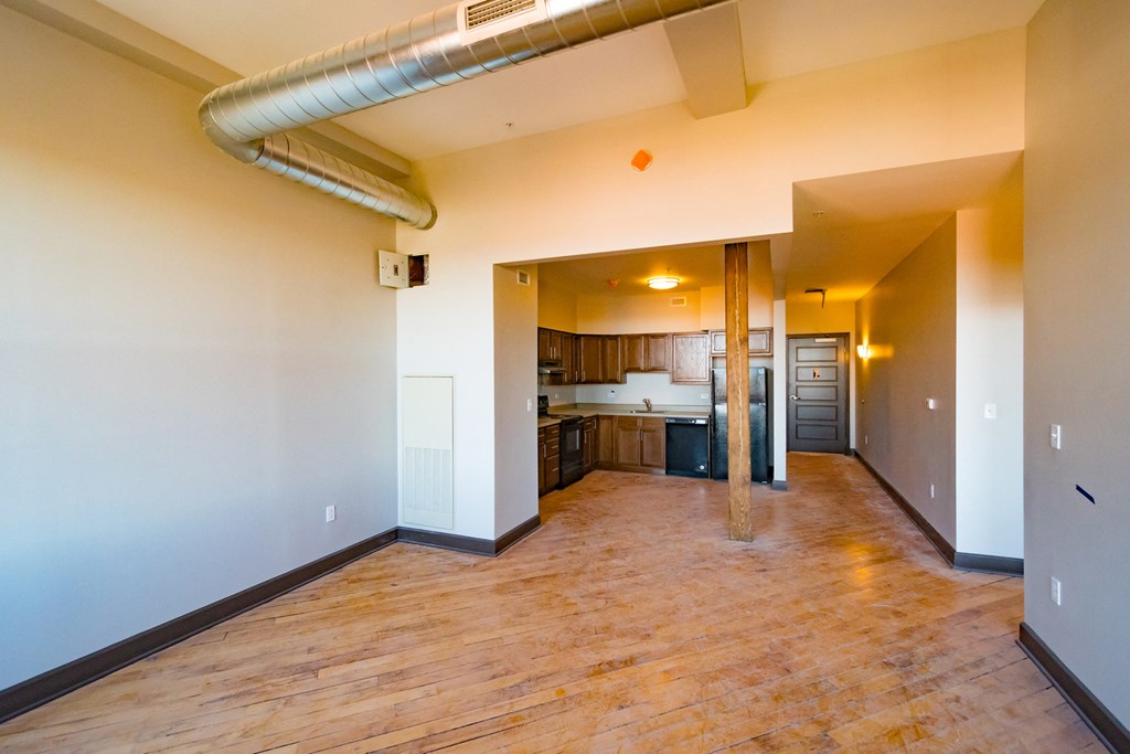 Apartment Living Room and Kitchen