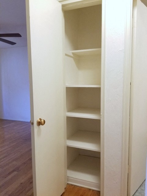 a closet with empty shelves and a door