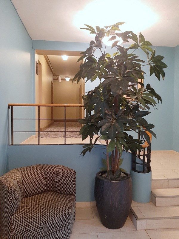 a large plant in the corner of a room with a couch