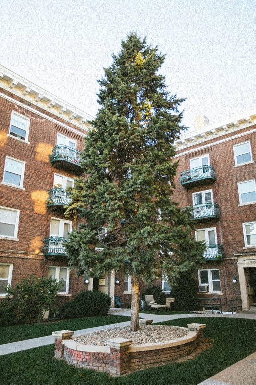 a tree in front of a brick building