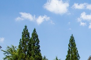 Cheap Apartments In Henry County Ga Cheap Apartments In Henry County Ga