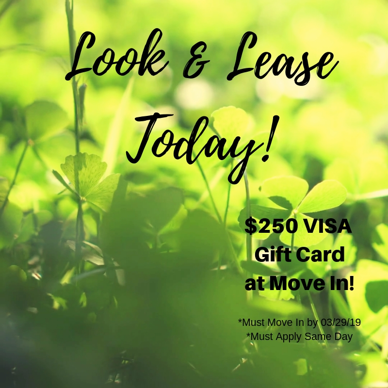 Falls at Sope Creek Apartments in Marietta, GA