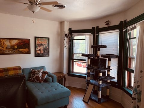 a living room with a blue couch and a tall tree