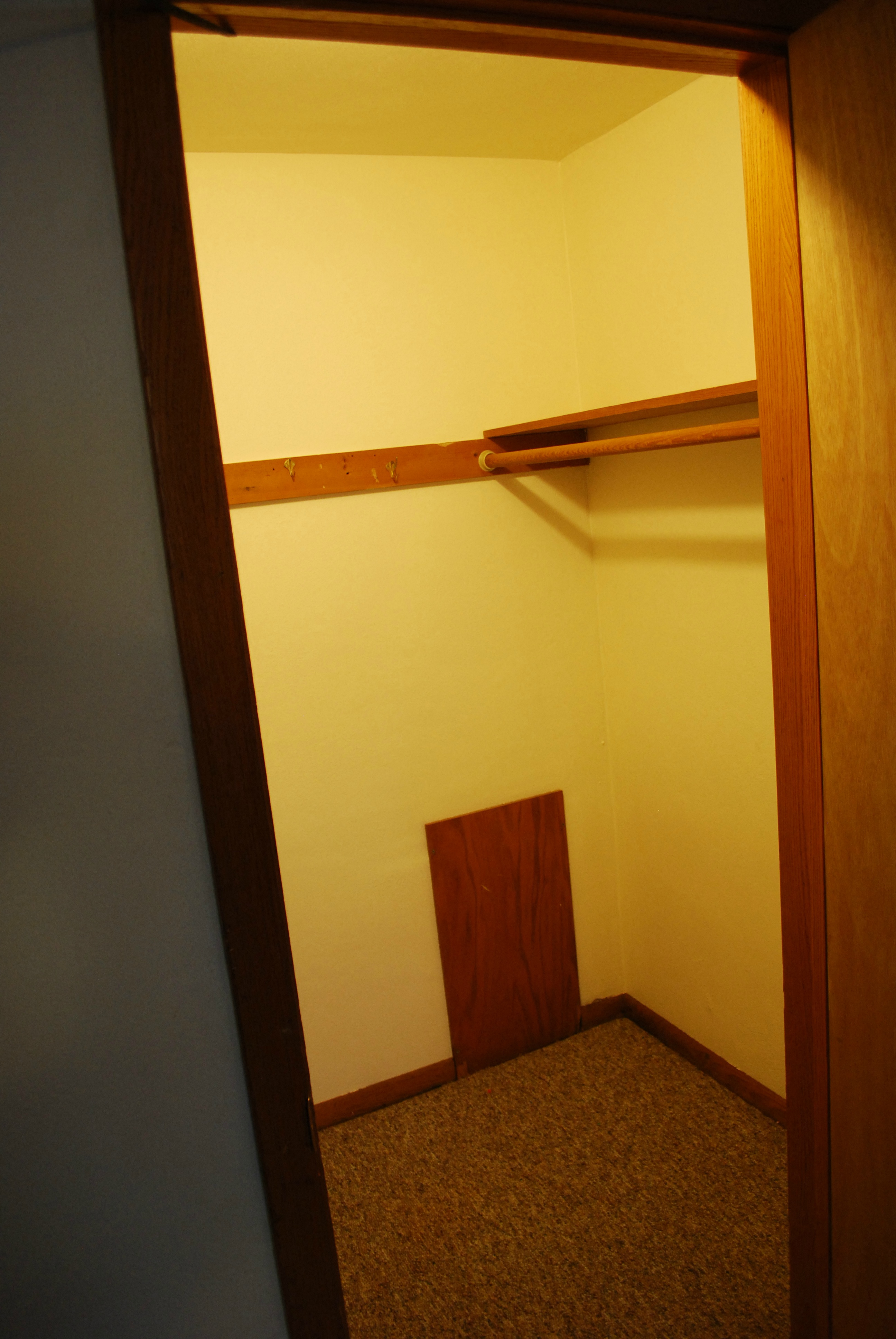 a closet in a room with a wooden door