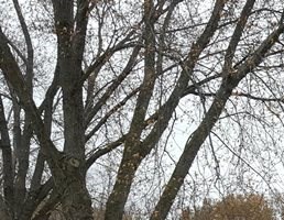 South Bird Street Apartments Apartments In Sun Prairie Wi