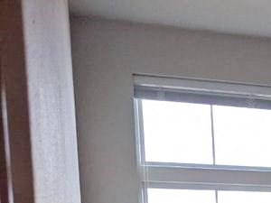 an empty bedroom with a large window and carpeting