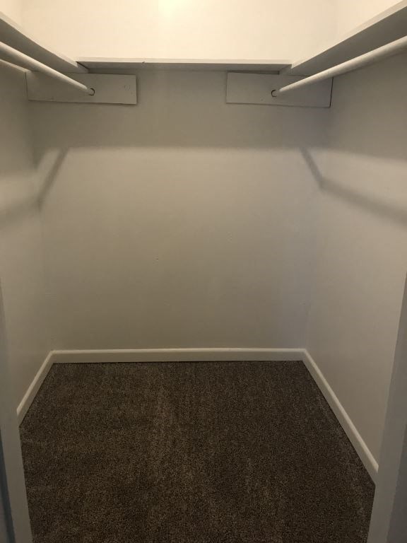 A small, empty closet with a carpeted floor.