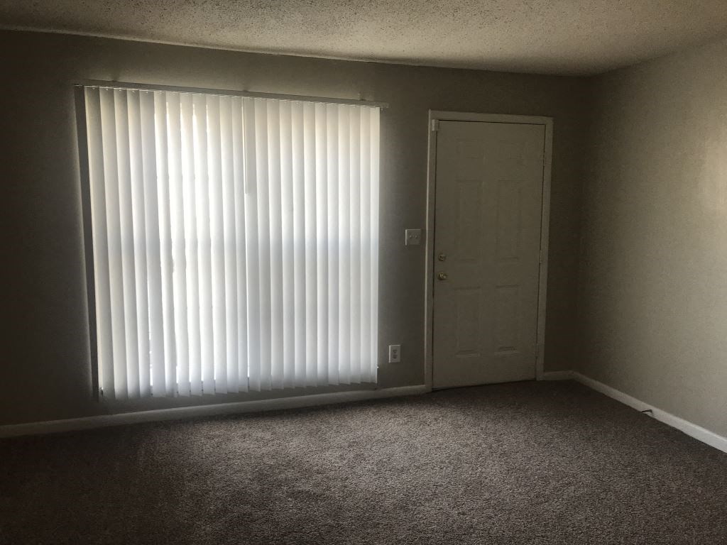 A room with a carpeted floor, a door, and a window with blinds.