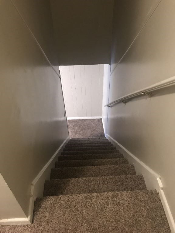 A stairway with a carpeted runner and white handrails.
