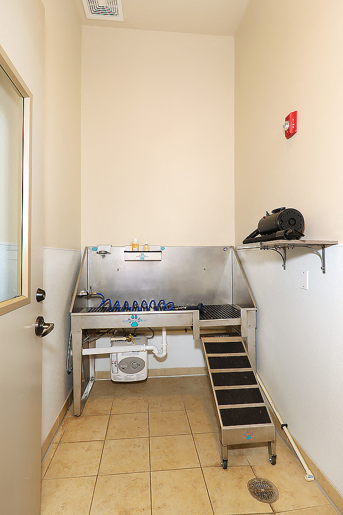 Wheat Ridge, CO Arvada Station pet wash