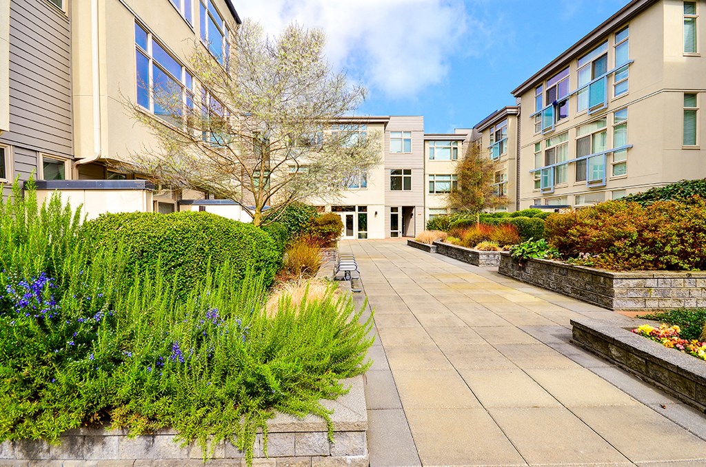 an outside view of an apartment building with a walkway and plants