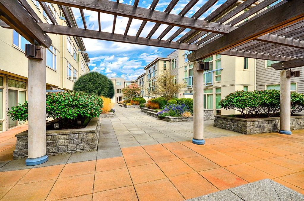 a view of a courtyard with a pergola