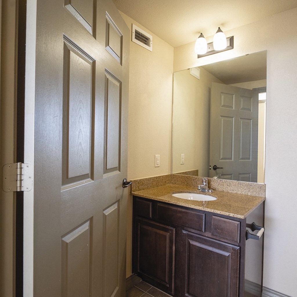 a bathroom with a sink and a mirror