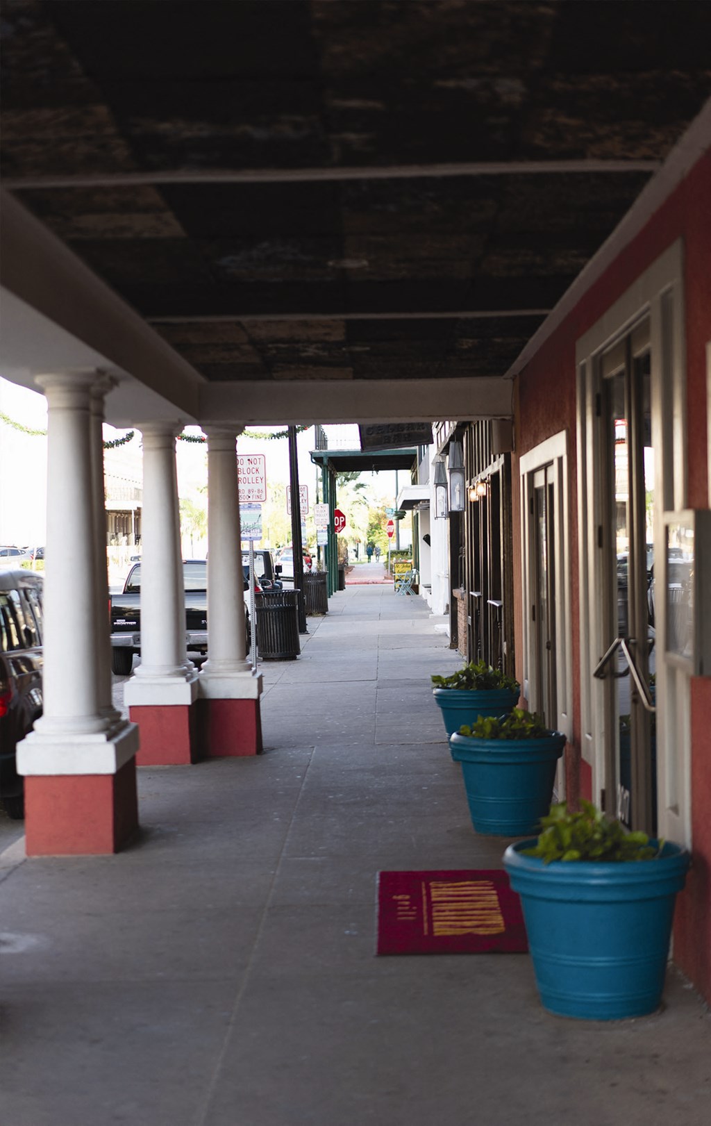 a row of potted plants on a sidewalk outside a building