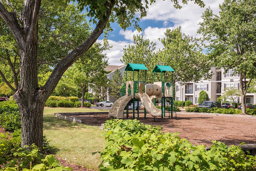 a wooded view of a playground with apartment buildings in the background.