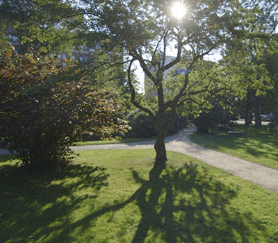 Curve Apartments 1581 South Park Street Halifax Ns Rentcafe