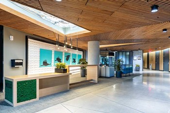 Yard Luxury Apartments & Penthouses