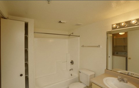 a bathroom with a sink and a toilet and a shower