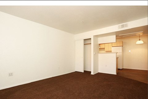 an empty living room and kitchen with a brown carpet