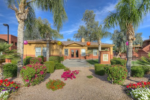 the front yard of a house with palm trees and flowers