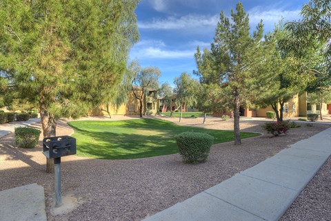 a view of a park with trees and a mailbox
