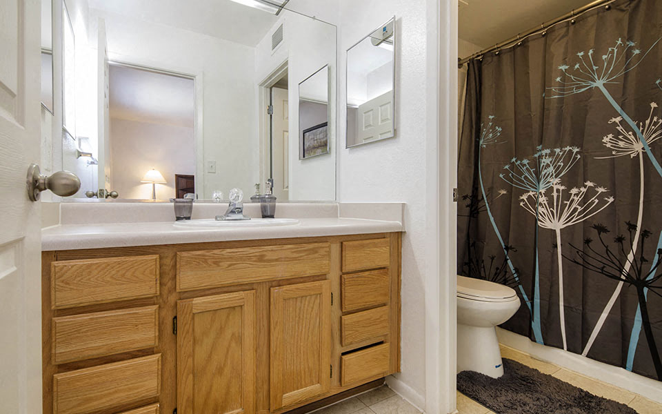 a bathroom with a sink and a shower and a toilet