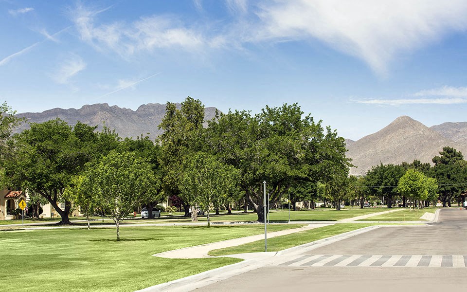 a city park with trees and mountains in the background