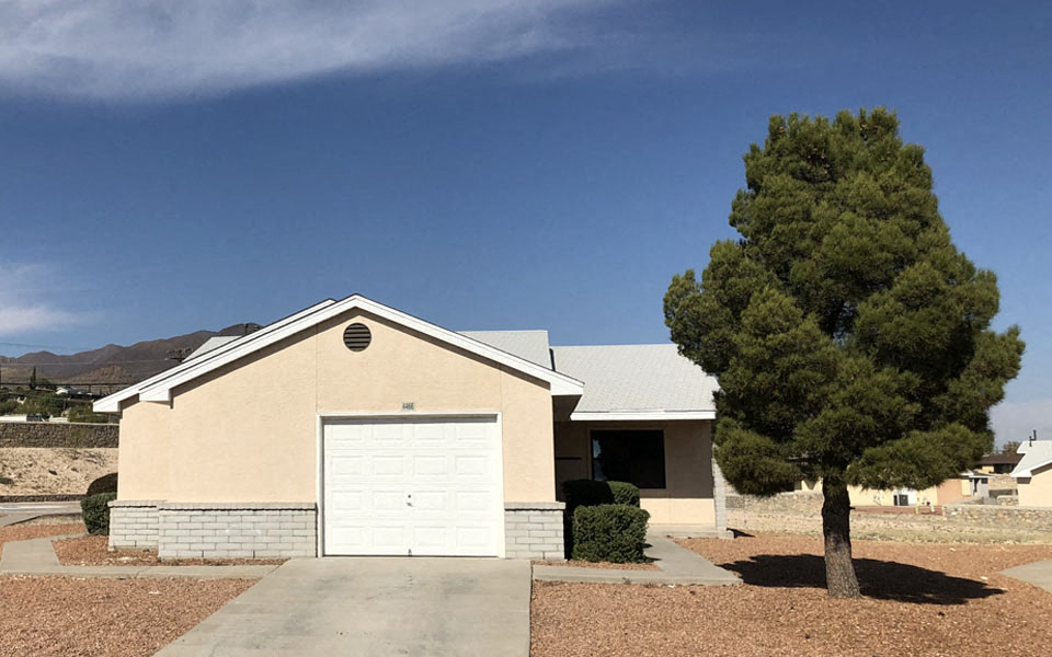 a house with a garage and a tree in front of it