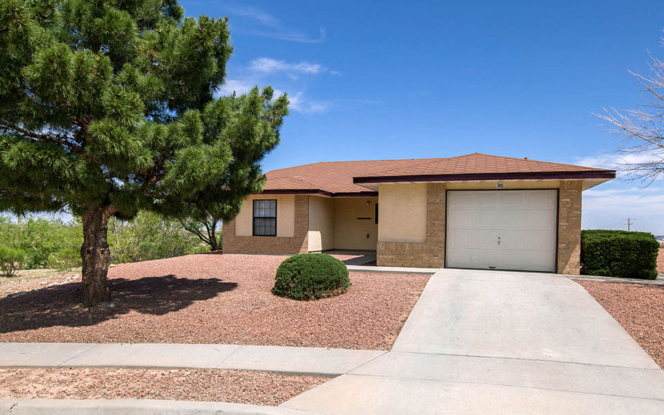 a house with a garage and a tree in front of it