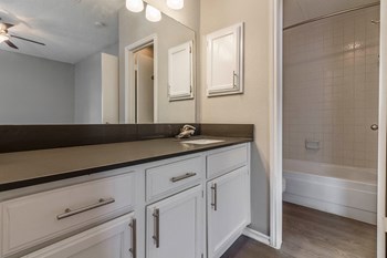 Sink and Vanity Next to Bathroom - Photo Gallery 13